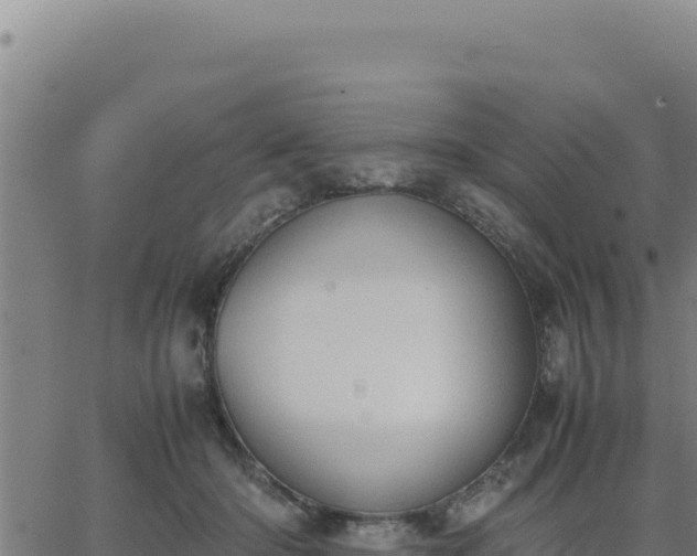 X0000062870414200601201759