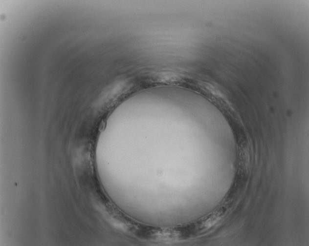 X0000062870415200601201759