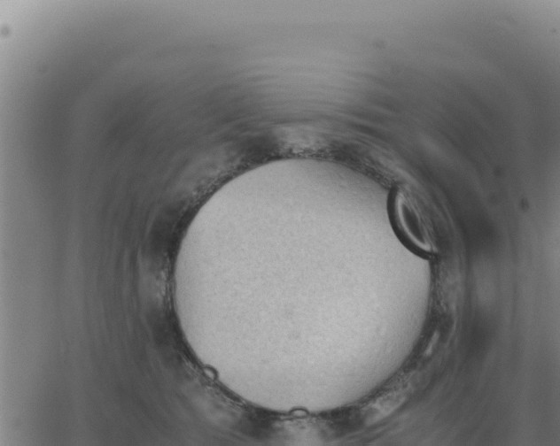 X0000062870417200601201759