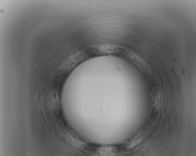 X0000062870418200601201759