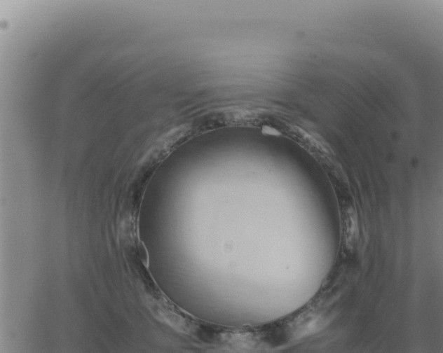 X0000062870419200601201759