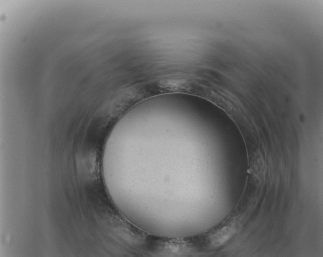 X0000062870420200601201759