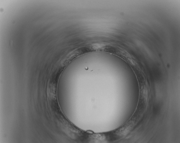 X0000062870421200601201759