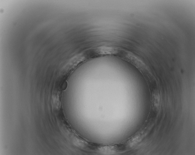 X0000062870422200601201759