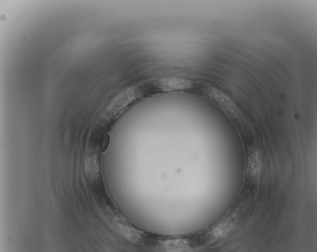 X0000062870426200601201759