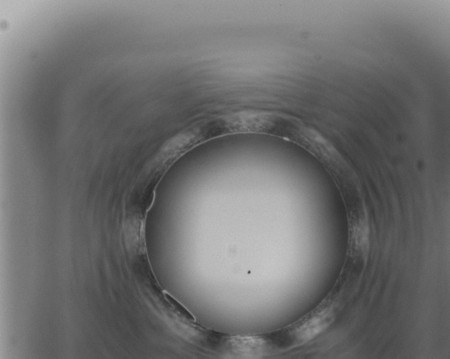 X0000062870429200601201759