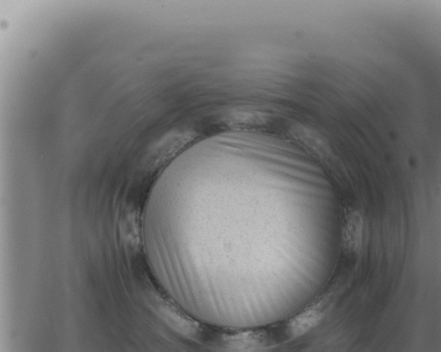 X0000062870430200601201759