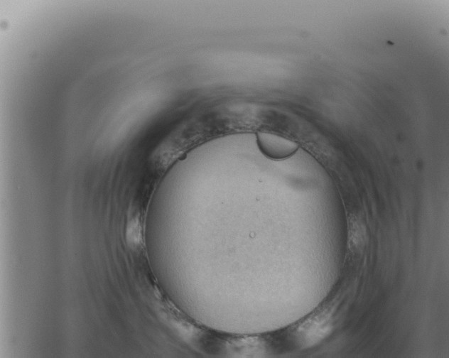 X0000062870431200601201759