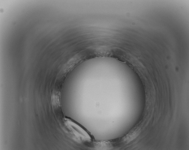 X0000062870432200601201759