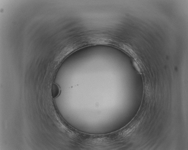 X0000062870433200601201758