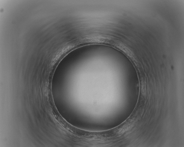 X0000062870434200601201758