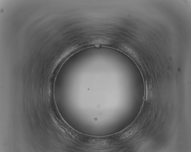 X0000062870435200601201758