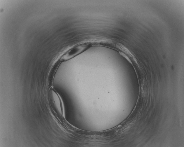 X0000062870436200601201758