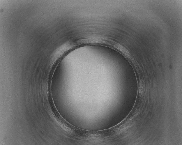 X0000062870438200601201758