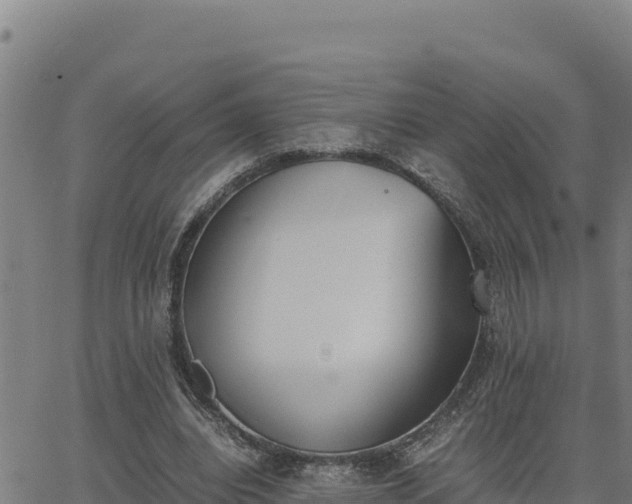 X0000062870440200601201758