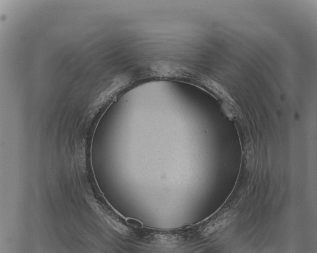 X0000062870442200601201758