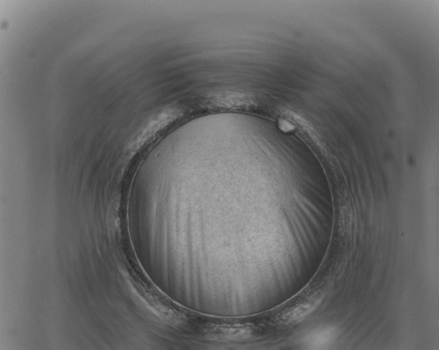 X0000062870443200601201758