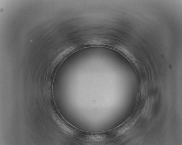 X0000062870445200601201758