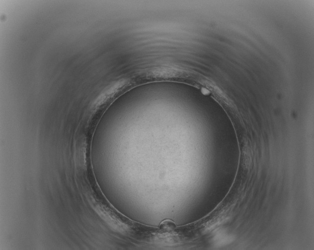 X0000062870446200601201758