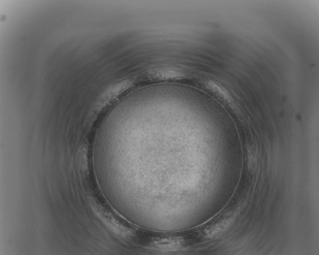 X0000062870447200601201758