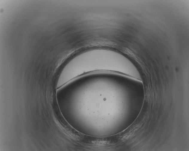 X0000062870448200601201758