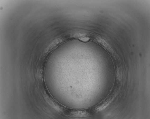 X0000062870449200601201758