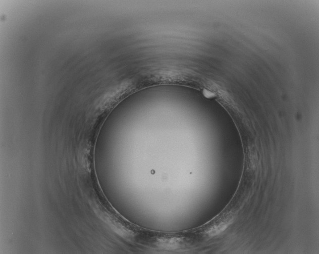 X0000062870450200601201758