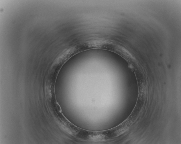 X0000062870452200601201758