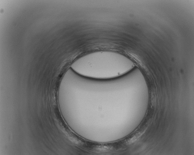 X0000062870453200601201758