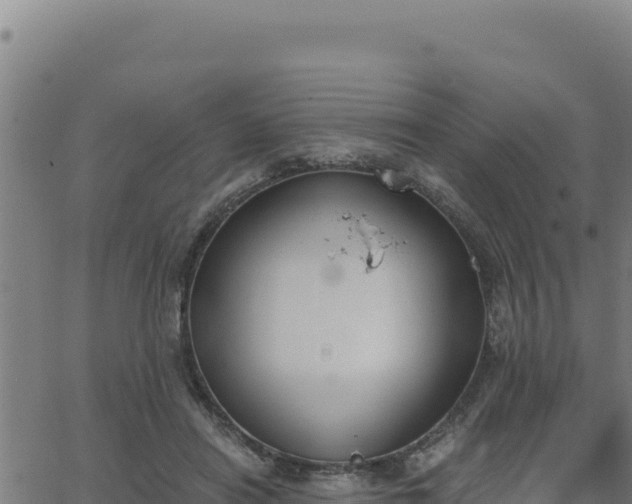 X0000062870454200601201758