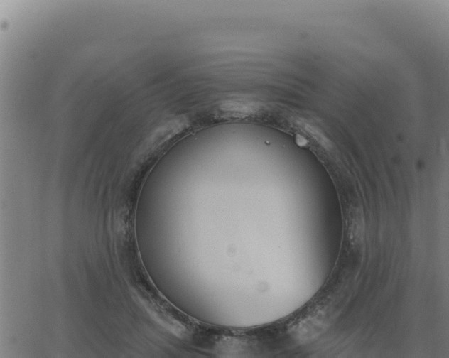 X0000062870455200601201758