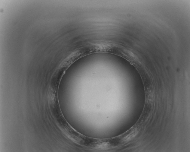 X0000062870456200601201758