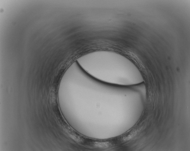 X0000062870457200601201758