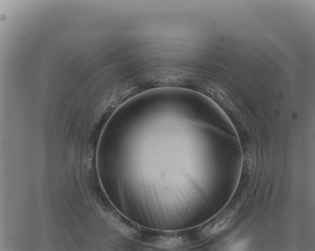 X0000062870458200601201758