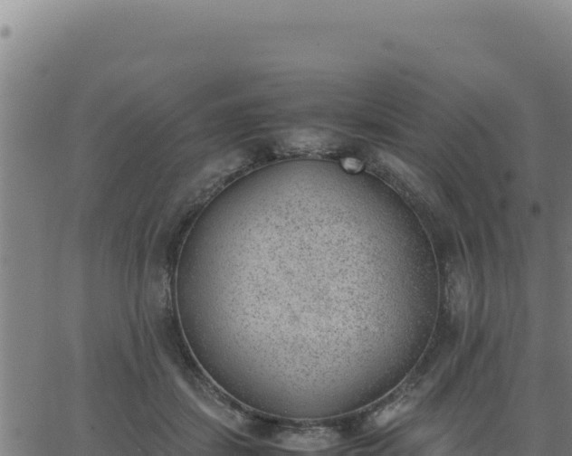 X0000062870459200601201758