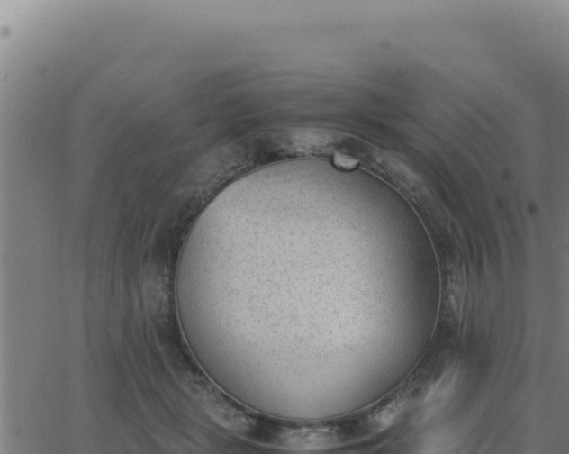 X0000062870461200601201758