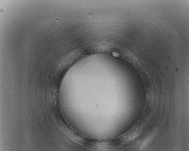 X0000062870462200601201758