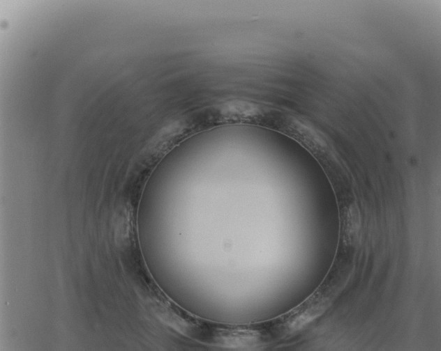 X0000062870463200601201758