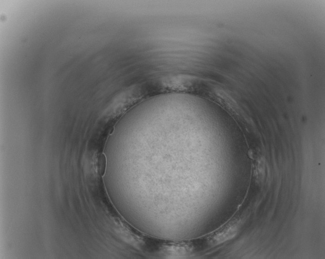 X0000062870466200601201759