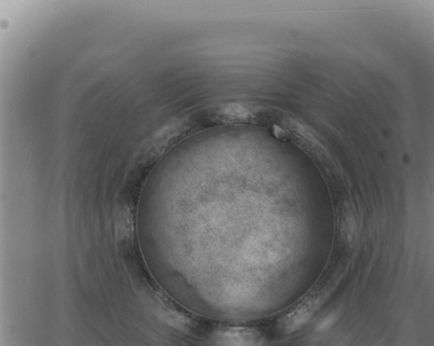 X0000062870467200601201759