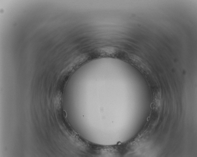 X0000062870468200601201759