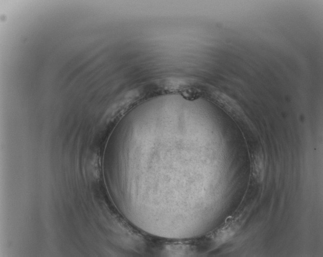 X0000062870470200601201759