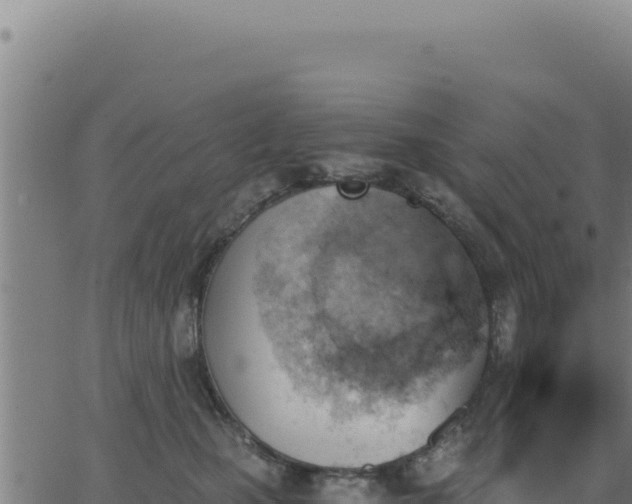 X0000062870471200601201759