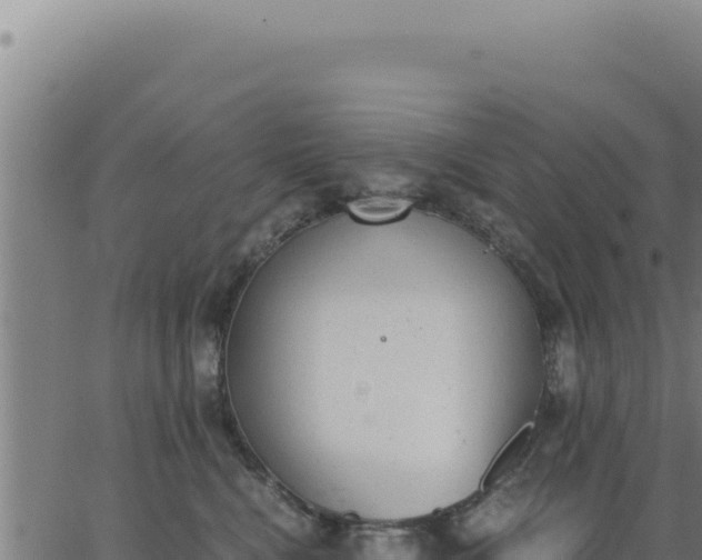 X0000062870472200601201759