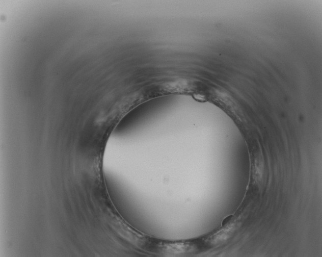 X0000062870473200601201759