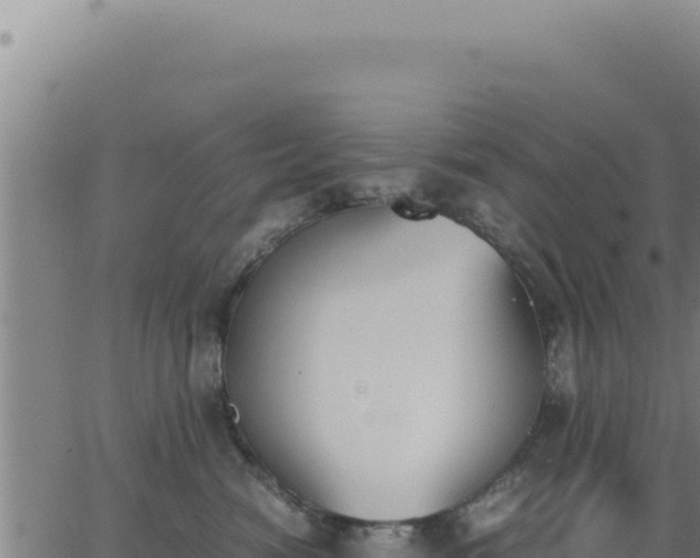 X0000062870474200601201759