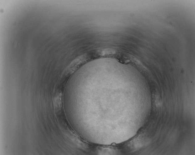 X0000062870475200601201759