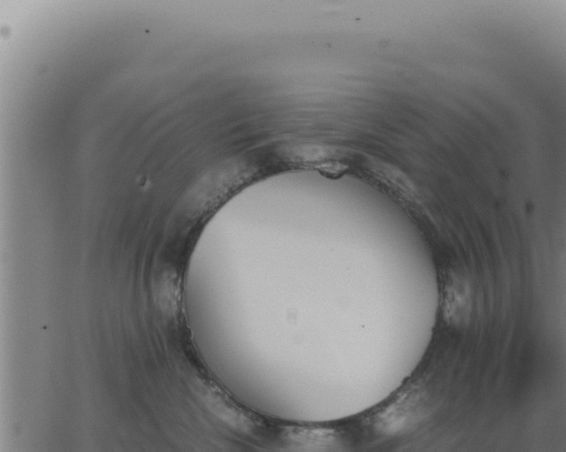 X0000062870476200601201759