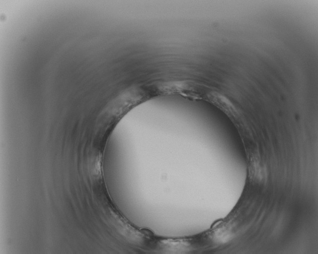 X0000062870477200601201759