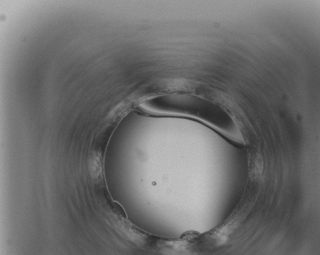 X0000062870478200601201759